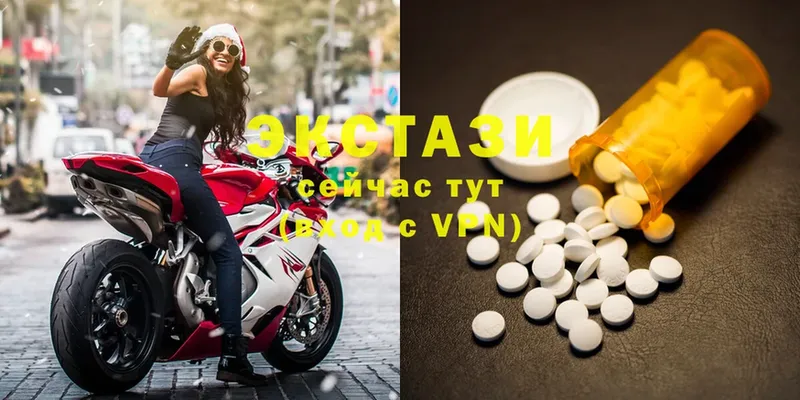 Ecstasy Philipp Plein  Черноголовка 